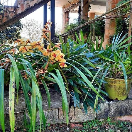 Pousada Canto Das Corujas São Roque Exteriér fotografie