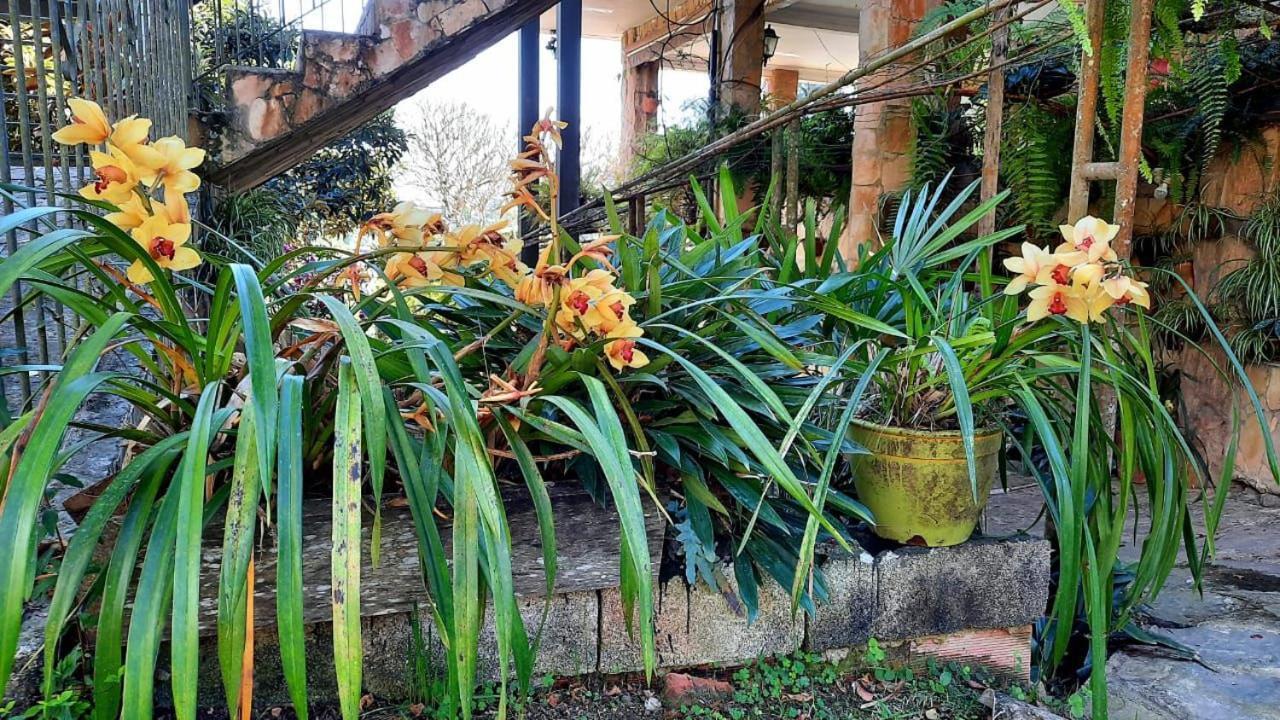 Pousada Canto Das Corujas São Roque Exteriér fotografie
